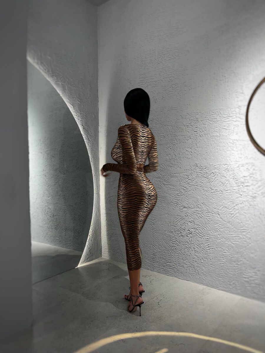 Polly set - Image 4